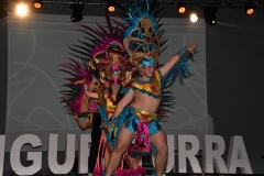 carnival-miguelturra-costumes-museum-2020