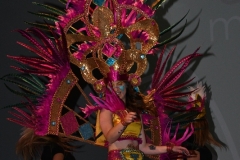 carnival-miguelturra-costumes-museum-2020