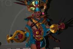 carnival-miguelturra-costumes-museum-2020