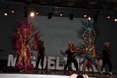 carnival-miguelturra-costumes-museum-2020