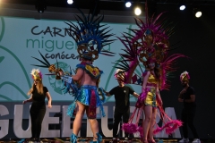 carnival-miguelturra-costumes-museum-2020