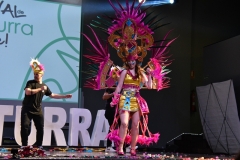carnival-miguelturra-costumes-museum-2020