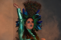 carnaval-miguelturra-trajes-museo-2020