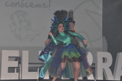 carnival-miguelturra-costumes-museum-2020