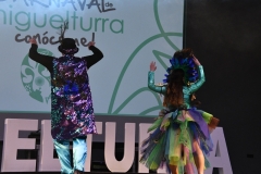 carnival-miguelturra-costumes-museum-2020