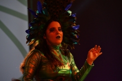 carnival-miguelturra-costumes-museum-2020