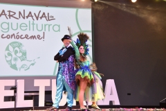 carnival-miguelturra-costumes-museum-2020