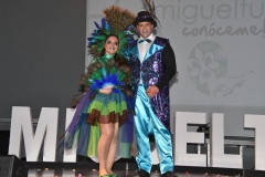 carnival-miguelturra-costumes-museum-2020