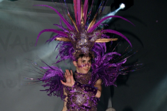 carnaval-miguelturra-trajes-museo-2022