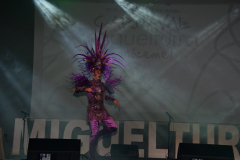 carnaval-miguelturra-trajes-museo-2022
