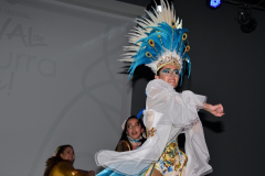 carnival-miguelturra-costumes-museum-2022