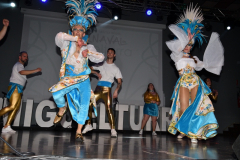 carnival-miguelturra-costumes-museum-2022