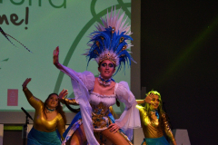 carnaval-miguelturra-trajes-museo-2022