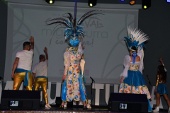 carnaval-miguelturra-trajes-museo-2022