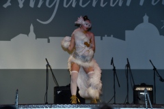 carnival-miguelturra-costumes-museum-2023