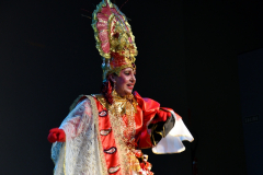 carnival-miguelturra-costumes-museum-2023