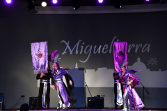 carnival-miguelturra-costumes-museum-2023