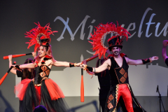 carnival-miguelturra-costumes-museum-2023