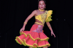carnaval-miguelturra-trajes-museo-2024