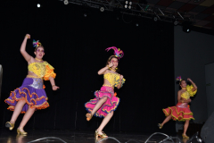 carnival-miguelturra-costumes-museum-2024