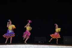 carnival-miguelturra-costumes-museum-2024