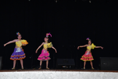 carnival-miguelturra-costumes-museum-2024