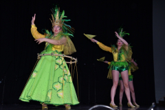 carnival-miguelturra-costumes-museum-2024