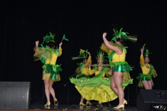carnaval-miguelturra-trajes-museo-2024