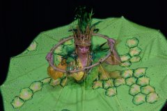 carnaval-miguelturra-trajes-museo-2024