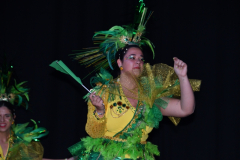 carnaval-miguelturra-trajes-museo-2024
