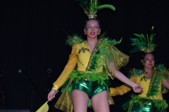 carnaval-miguelturra-trajes-museo-2024