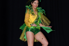 carnival-miguelturra-costumes-museum-2024
