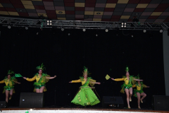 carnaval-miguelturra-trajes-museo-2024