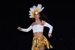 carnaval-miguelturra-trajes-museo-2024