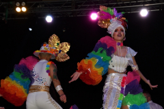carnaval-miguelturra-trajes-museo-2024