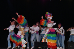 carnaval-miguelturra-trajes-museo-2024