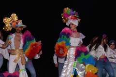 carnaval-miguelturra-trajes-museo-2024