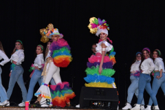 carnaval-miguelturra-trajes-museo-2024