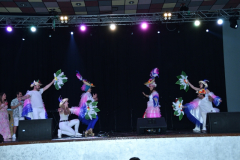 carnival-miguelturra-costumes-museum-2024