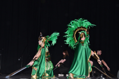 carnaval-miguelturra-trajes-museo-2024