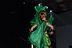 carnival-miguelturra-costumes-museum-2024