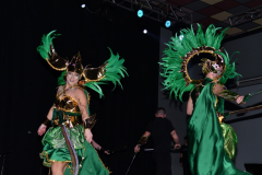 carnaval-miguelturra-trajes-museo-2024