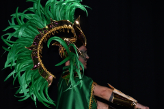 carnival-miguelturra-costumes-museum-2024