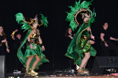 carnival-miguelturra-costumes-museum-2024