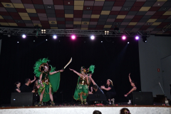 carnival-miguelturra-costumes-museum-2024