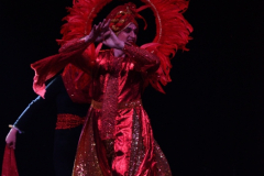 carnival-miguelturra-costumes-museum-2024