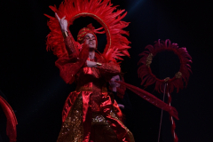 carnival-miguelturra-costumes-museum-2024