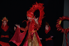 carnival-miguelturra-costumes-museum-2024