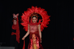 carnival-miguelturra-costumes-museum-2024