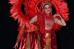 carnival-miguelturra-costumes-museum-2024